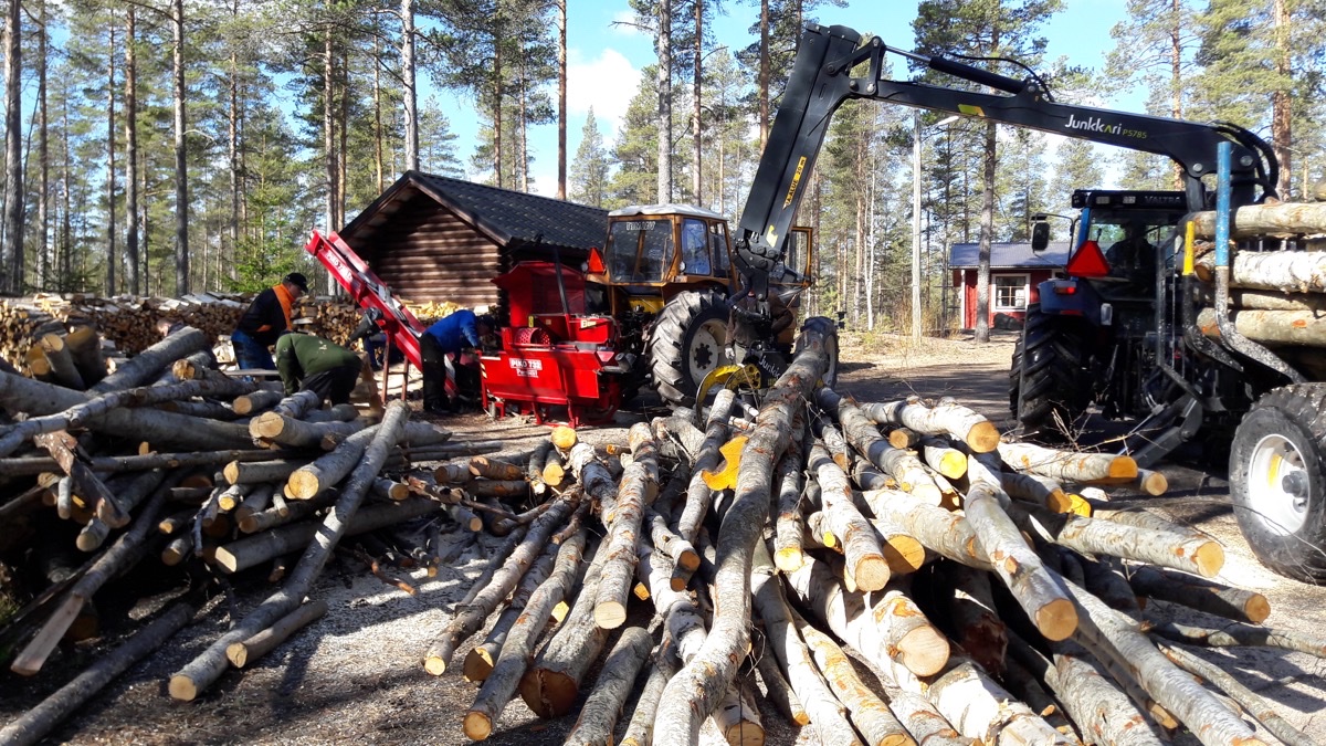 Metsolan piha talkookauden aikana