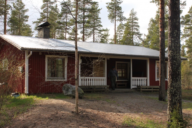 Metsolan maja kesäpäivänä
